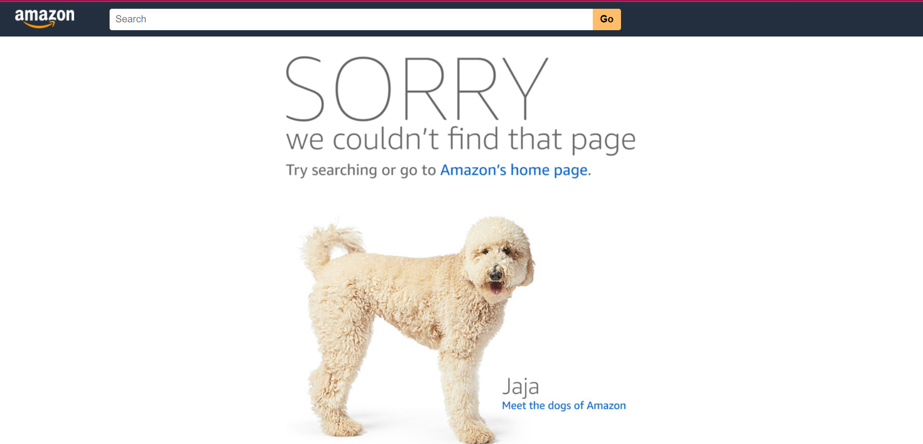 Pagina 404 di Amazon